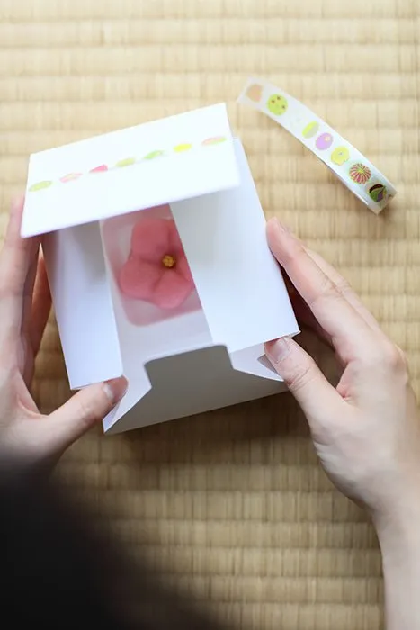 MT x SOU.SOU Kyoto Washi Tape - Wagashi