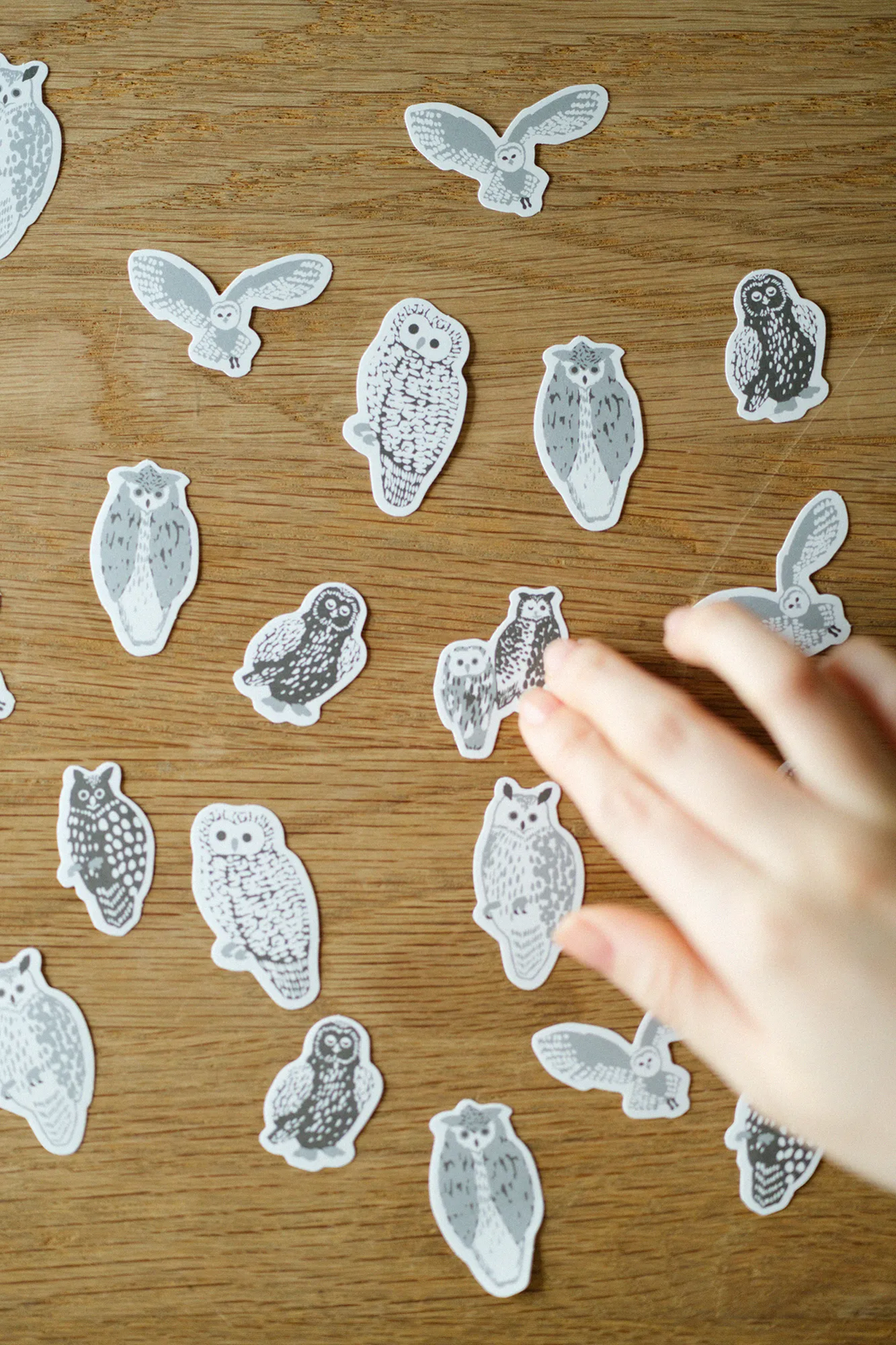 SOU.SOU x PHP Flake Sticker Pack - Owls