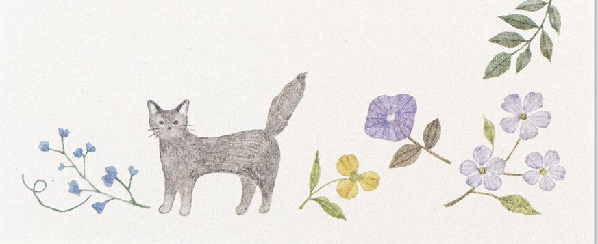 Cat Themed Notes & Memos
