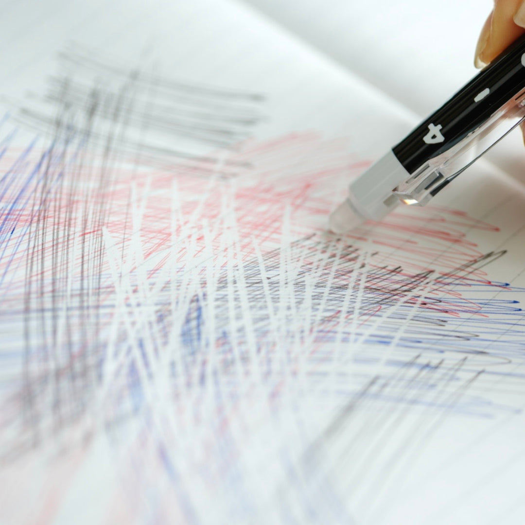 *Rare Limited Edition* SOU.SOU x Pilot FriXion 0.5mm Erasable Pen Twin Pack - Choose Colour Set