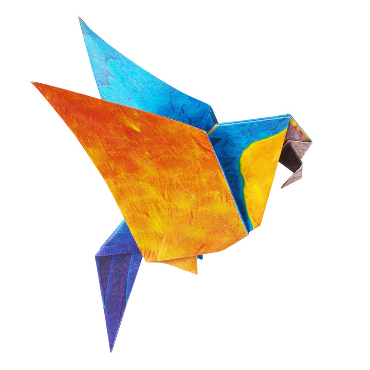 Marumo Origami Kit - Turaco, Blue Macaw, Red Macaw