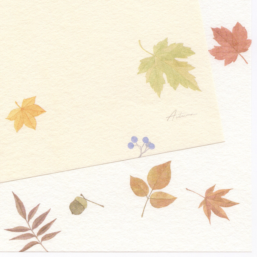 NB Letter Paper - Autumn Designs - 16 Sheets