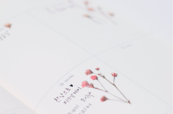 Appree Korea - Pressed Flower Stickers - Gypsophila