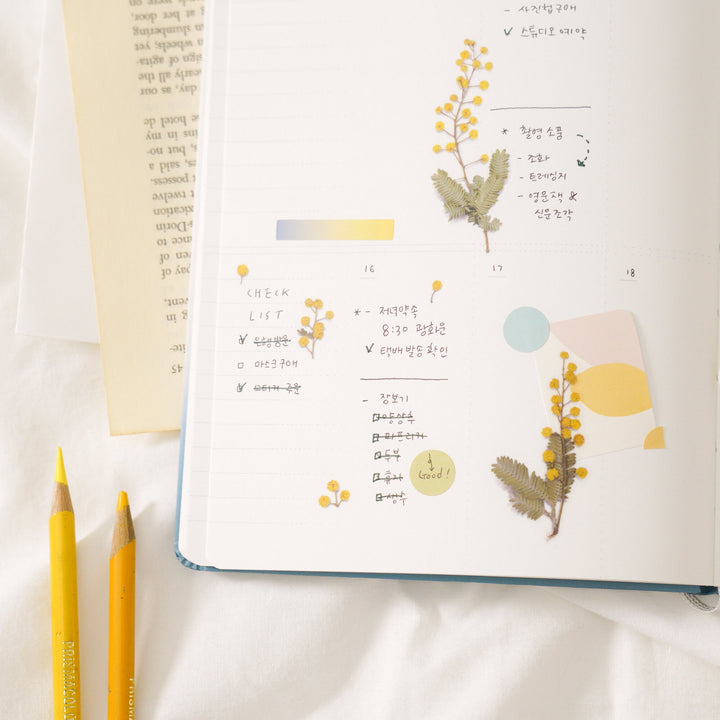 Appree Korea - Pressed Flower Stickers - Mimosa