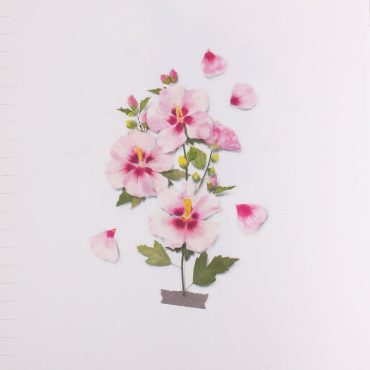 Appree Korea - Pressed Flower Stickers - Rose of Sharon