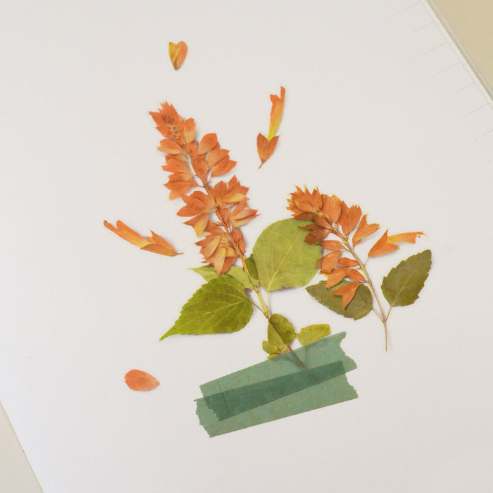 Appree Korea - Pressed Flower Stickers - Salvia