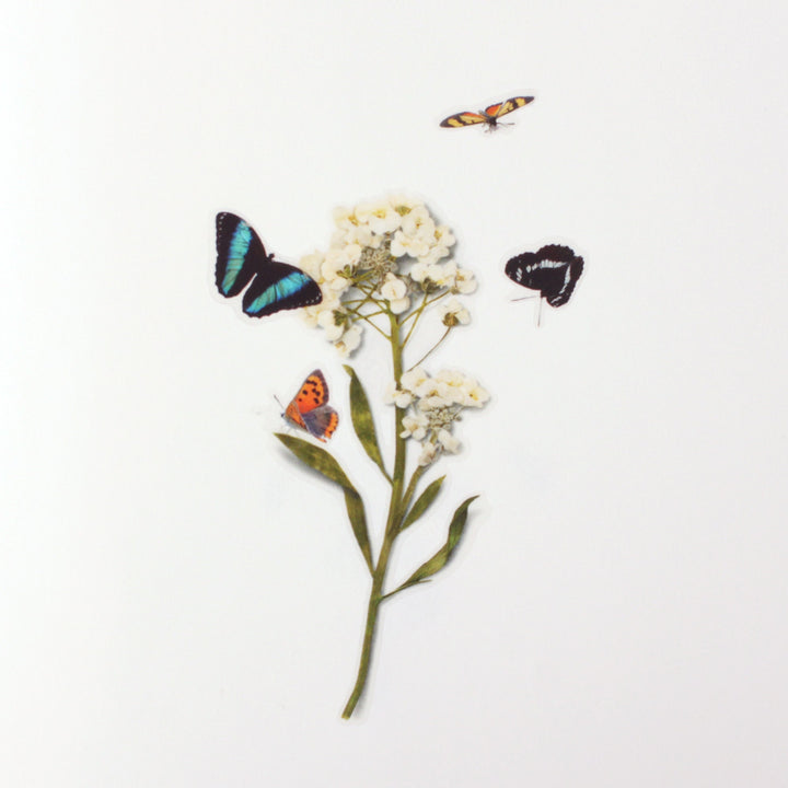 Appree Korea - Nature Stickers - Butterfly