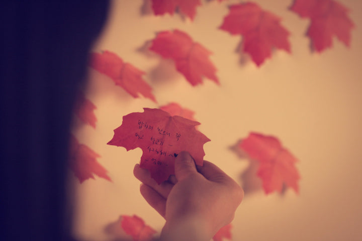Appree Korea - Sticky Notes - Red Maple Leaf (Large Pack)