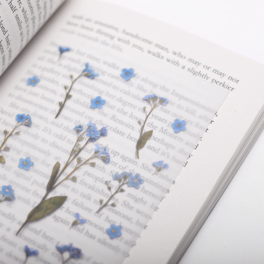 Appree Korea - Pressed Flower Stickers - Forget-me-not