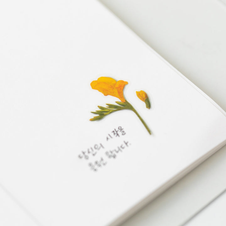 Appree Korea - Pressed Flower Stickers - Freesia