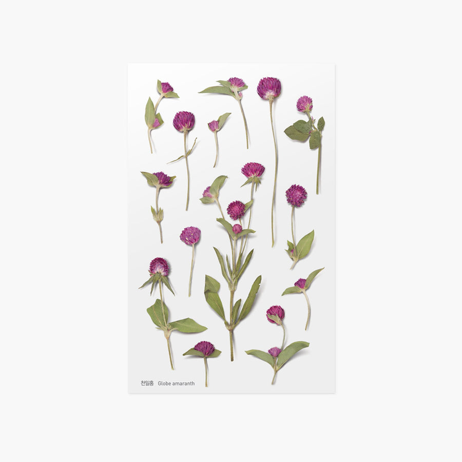 Appree Korea - Pressed Flower Stickers - Globe Amaranth