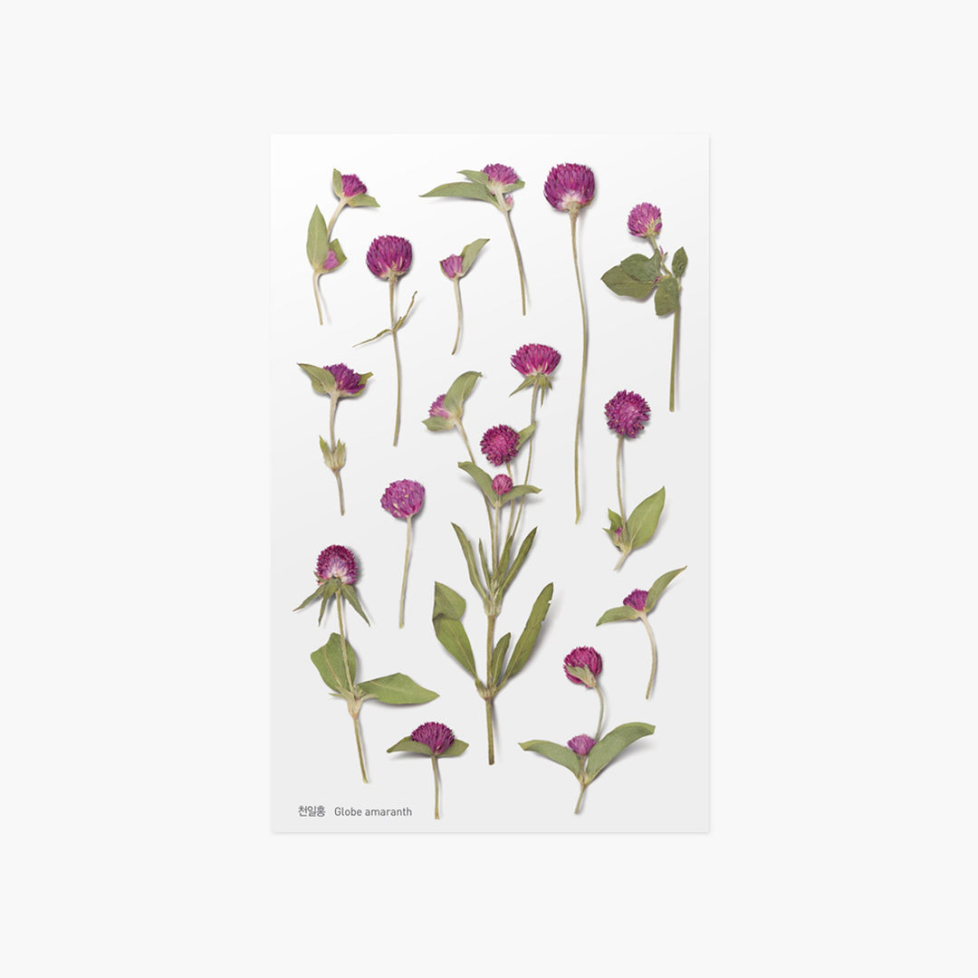 Appree Korea - Pressed Flower Stickers - Globe Amaranth