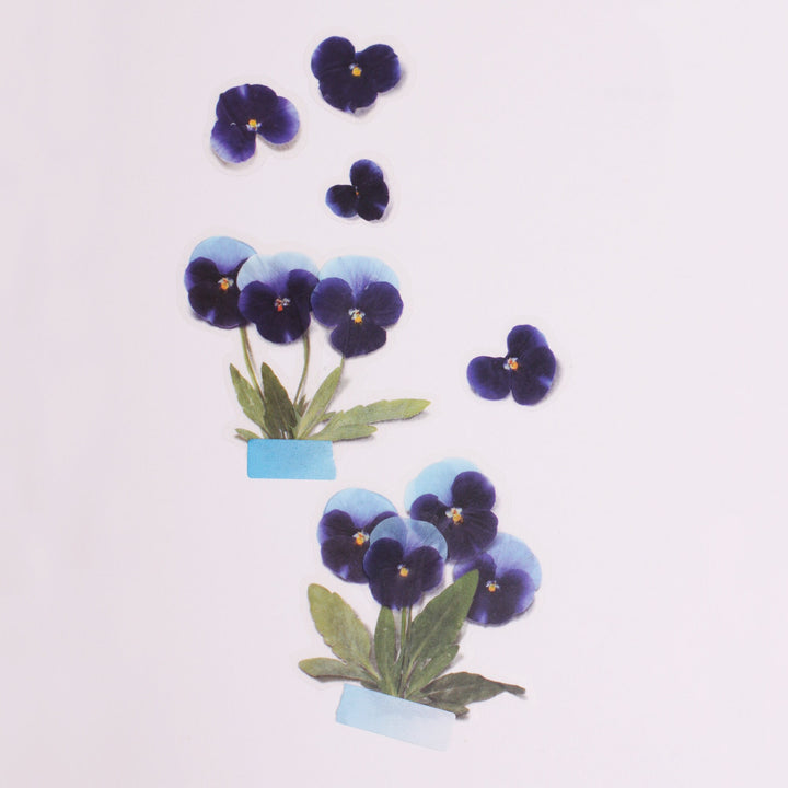 Appree Korea - Pressed Flower Stickers - Pansy