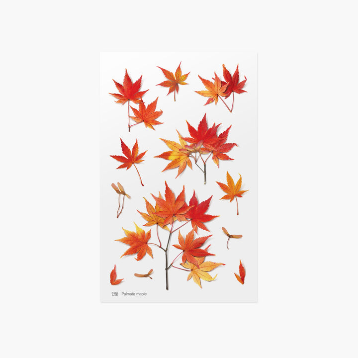 Appree Korea - Pressed Flower Stickers - Red Maple Leaf