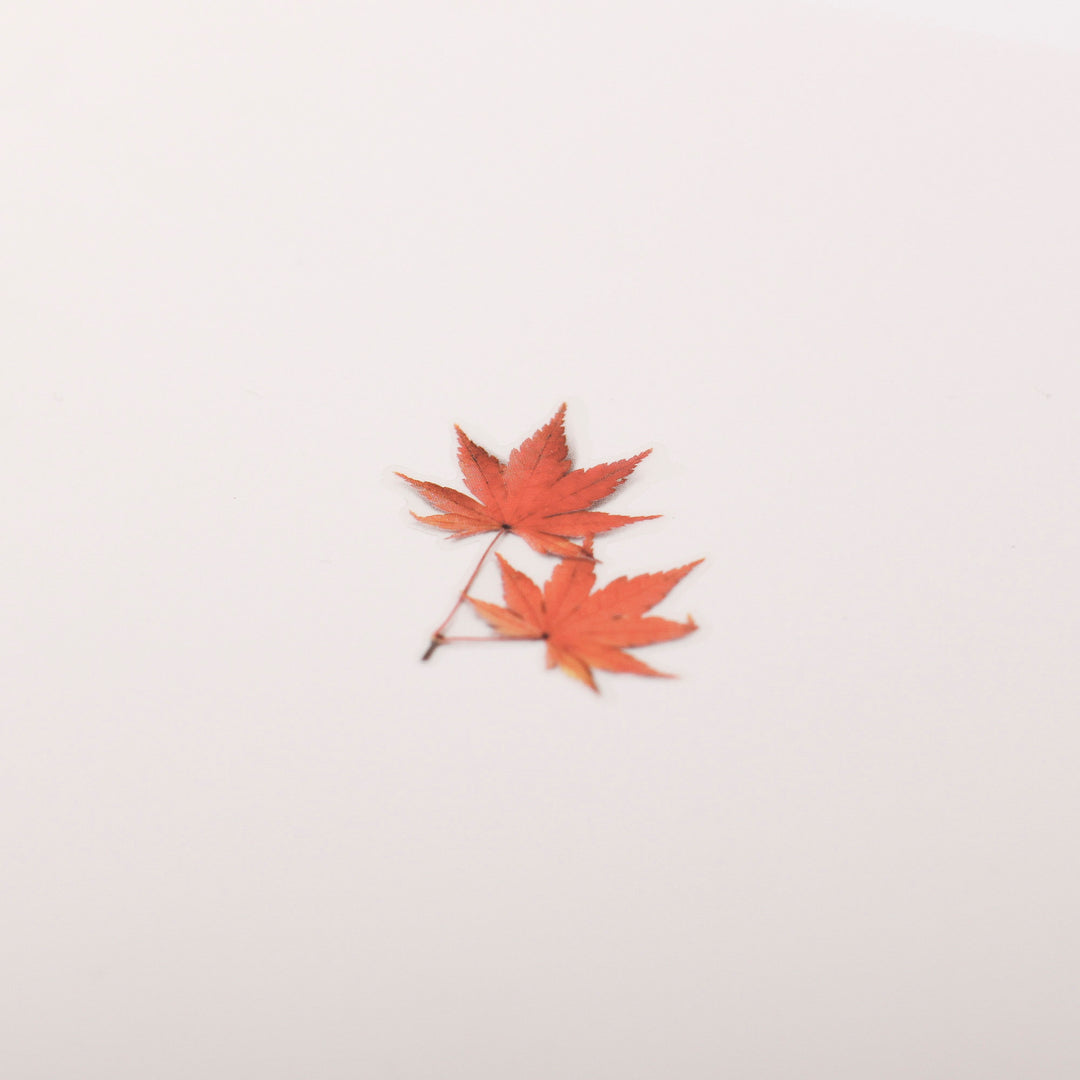 Appree Korea - Pressed Flower Stickers - Red Maple Leaf