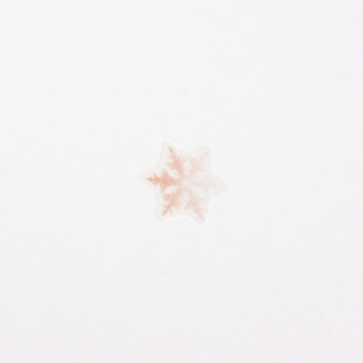 Appree Korea - Nature Stickers - Snowflake