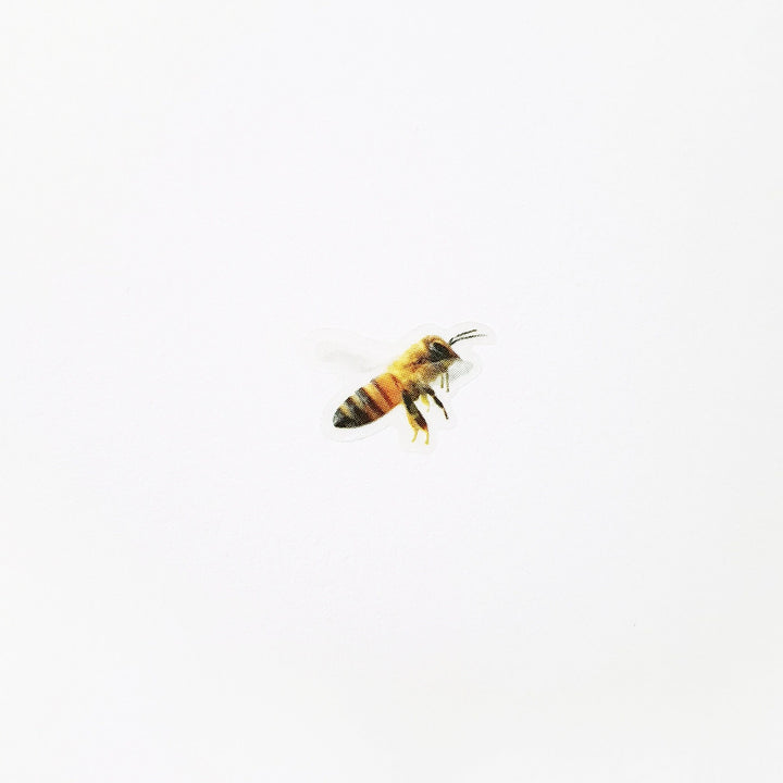 Appree Korea - Nature Stickers - Honeybee
