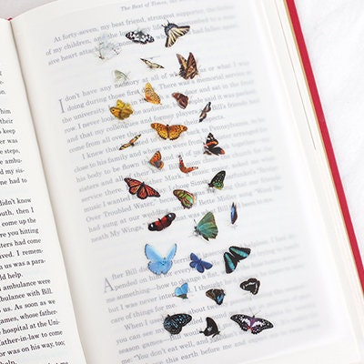 Appree Korea - Nature Stickers - Butterfly